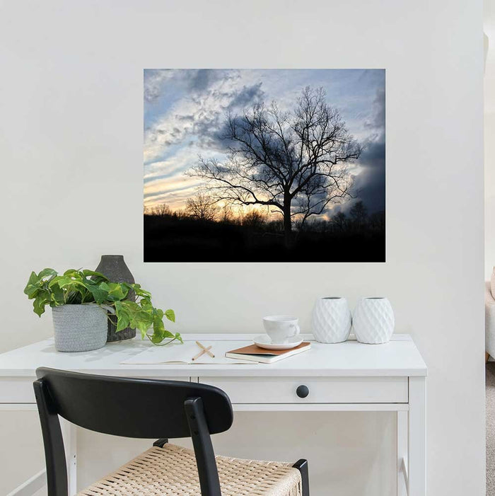 29x36 inch Sunset Tree Decal Installed Above Desk