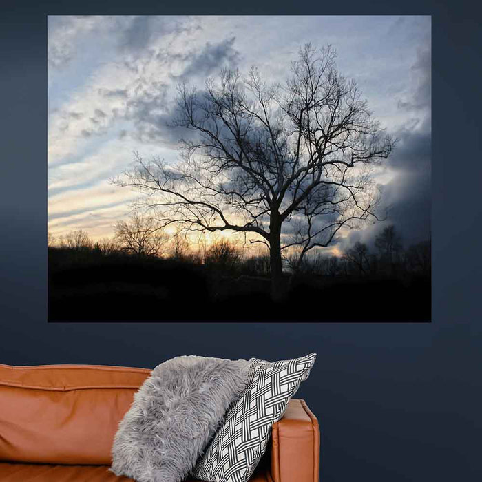 38.5x48 inch Sunset Tree Decal Installed Above Sofa