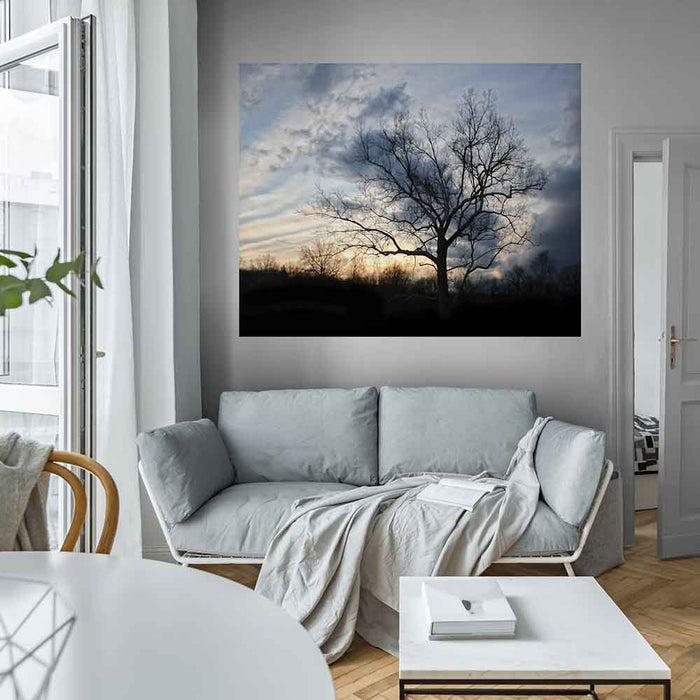 48x60 inch Sunset Tree Decal Installed in Living Room