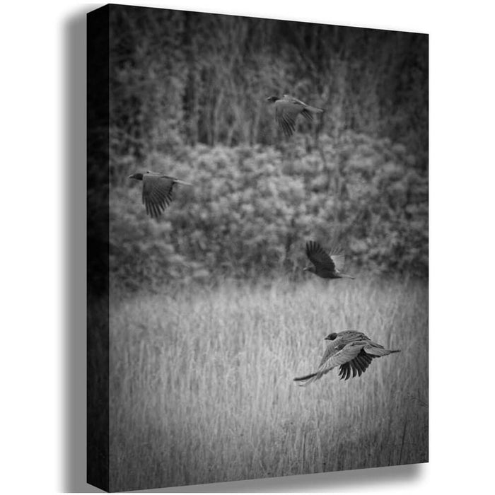 The Crows Canvas Printed | Wallhogs
