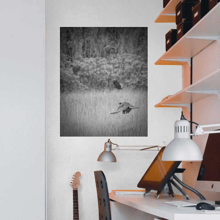 19x24 inch The Crow Poster Displayed Above Desk