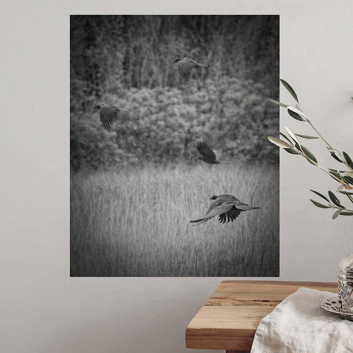 28.5x36 inch The Crow Poster Displayed on Wall