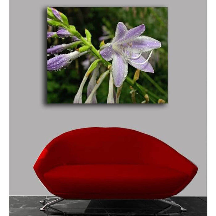 Wet Flower Canvas Print Installed | Wallhogs