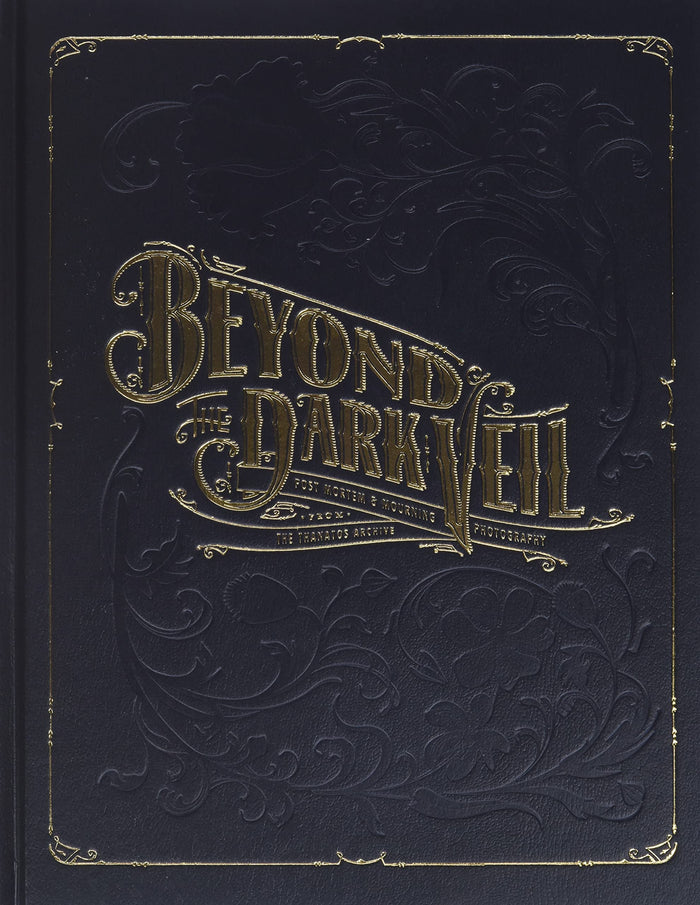 Beyond the Dark Veil Book