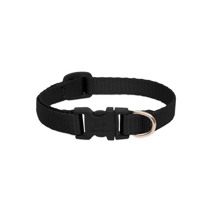 Black Collar