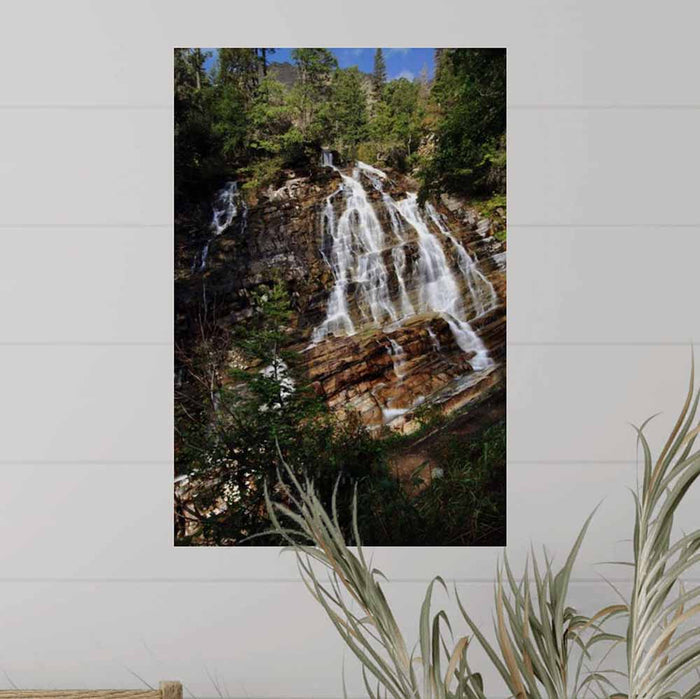 16x24 inch Bertha Falls Decal Installed Above Plant