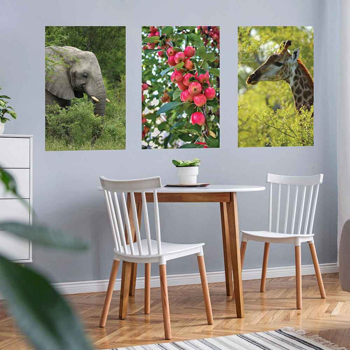 24x36 inch Crab Apples Decal Installed in Dining Area