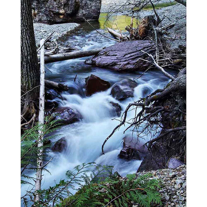 Fast Stream Wall Decal Printed | Wallhogs