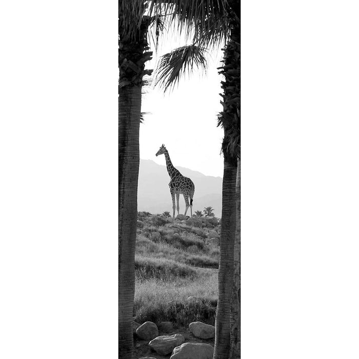 Panoramic Giraffe Wall Decal Printed | Wallhogs
