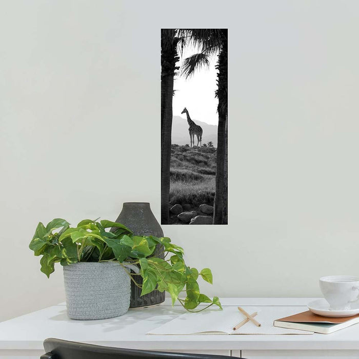 8x24 inch Panoramic Giraffe Decal Installed Above Desk