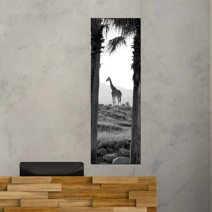 12x36 inch Panoramic Giraffe Decal Installed in Reception Area
