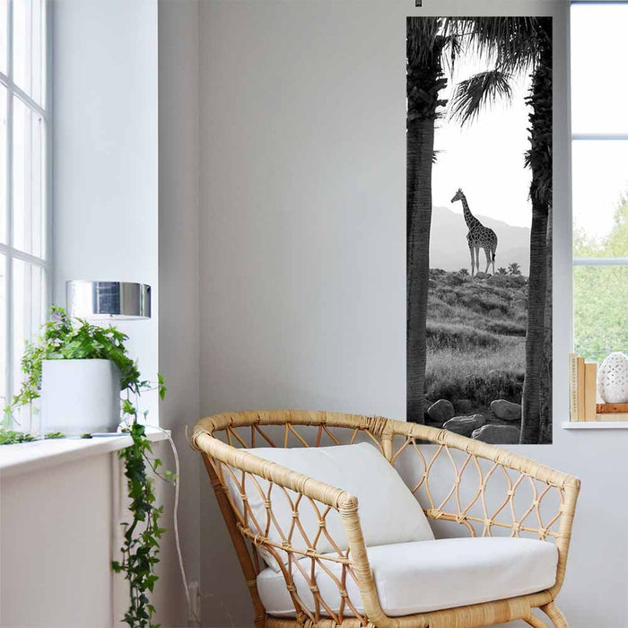 16x48 inch Panoramic Giraffe Decal Installed Near Window