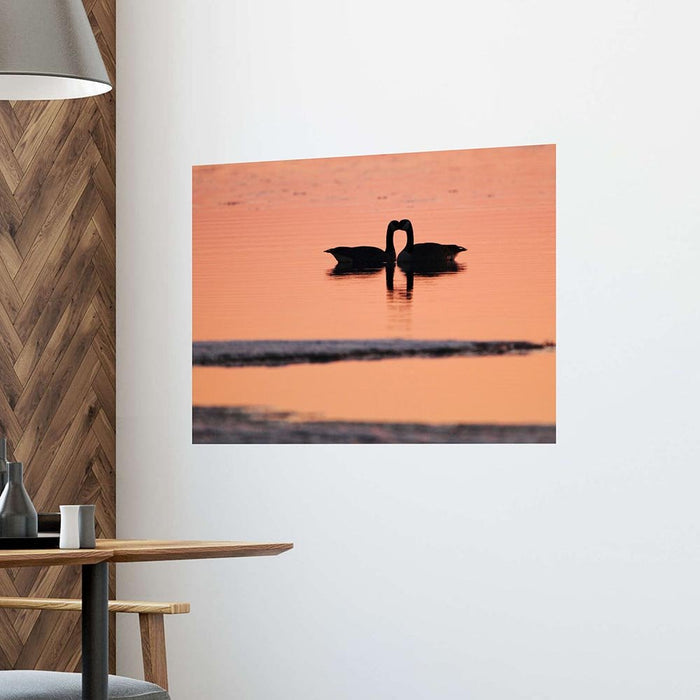 24x36 inch Goose Love Poster Displayed on Wall