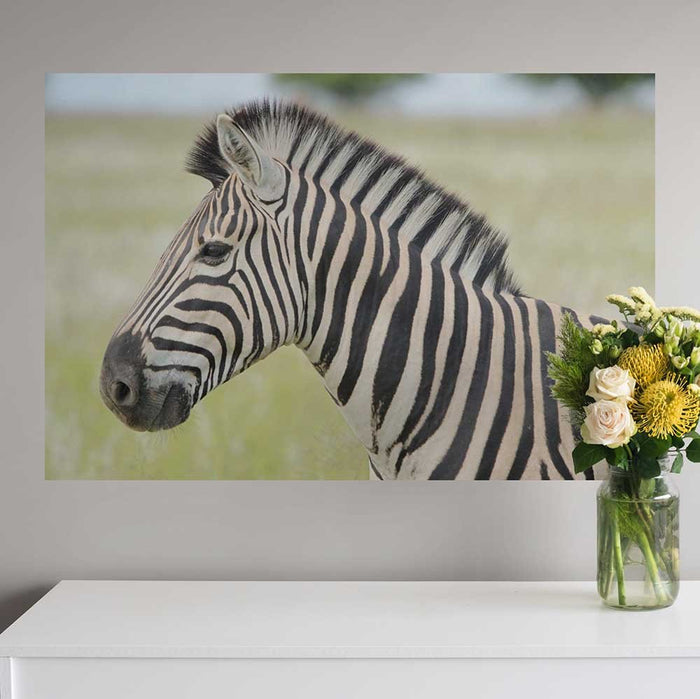32x48 inch Zebra Profile Poster Displayed Above Console Table