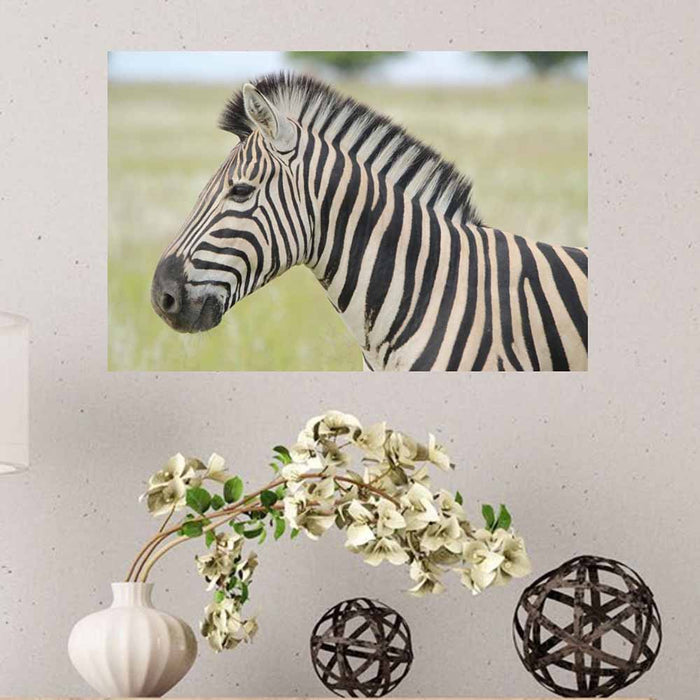 16x24 inch Zebra Profile Decal Installed on Wall