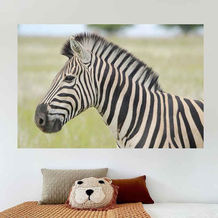 24x36 inch Zebra Profile Decal Installed in Kids Room