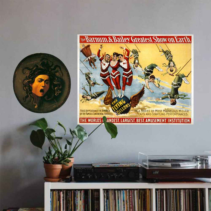 18.5x24 inch Flying Dillons Decal Installed Above Records Shelf
