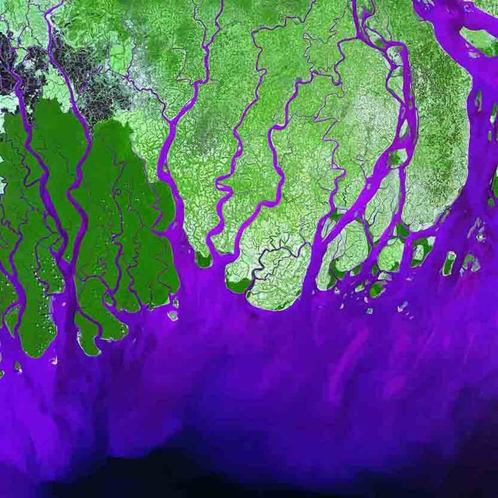 Ganges Satellite Wall Decal Printed | Wallhogs