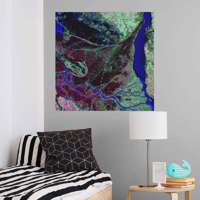 36x36 inch Parana River Delta Satellite Decal Installed in Bedroom