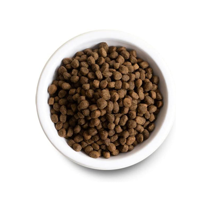 Catch-of-the-Season Whitefish & Ancient Grains Recipe kibble in a bowl