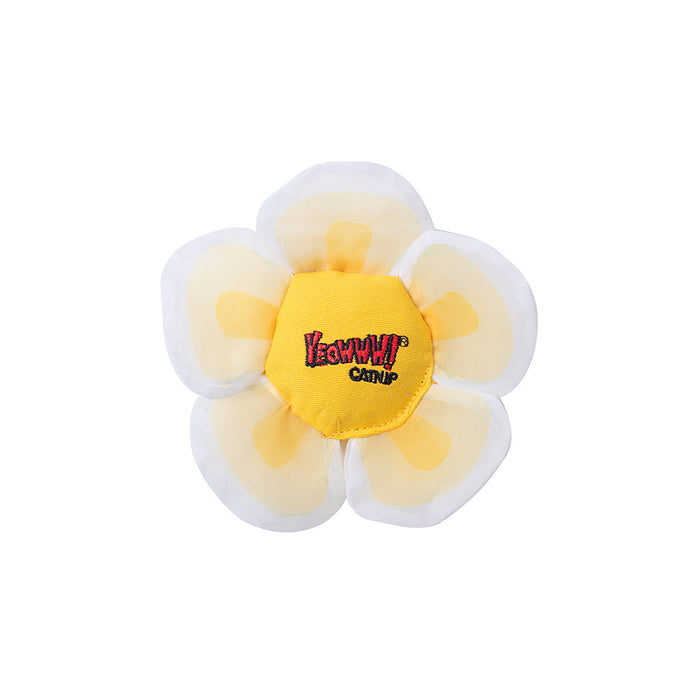 Catnip Daisy Flower Tops