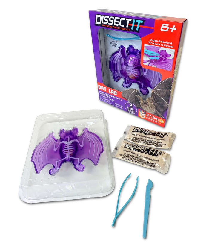 Dissect It Bat Lab