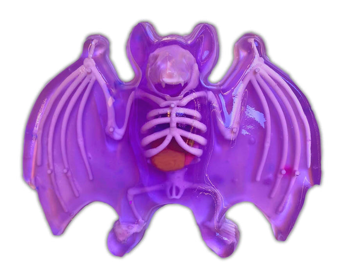 Dissect It Bat Lab