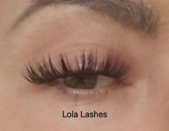 DIY Lash Extension Kit – Large Cluster Tray + Tweezer 4 Styles  10 12 14mm