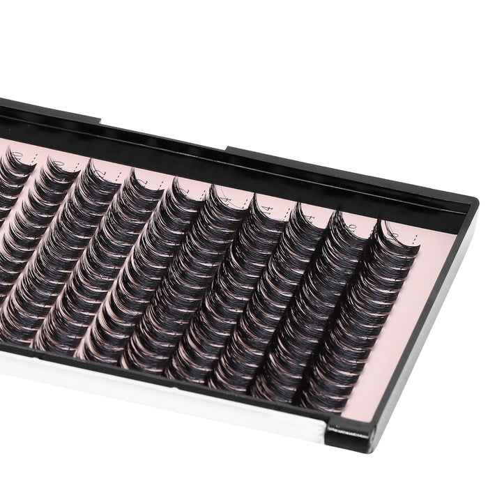 Dolly Wispy Lash Extensions  D Curl