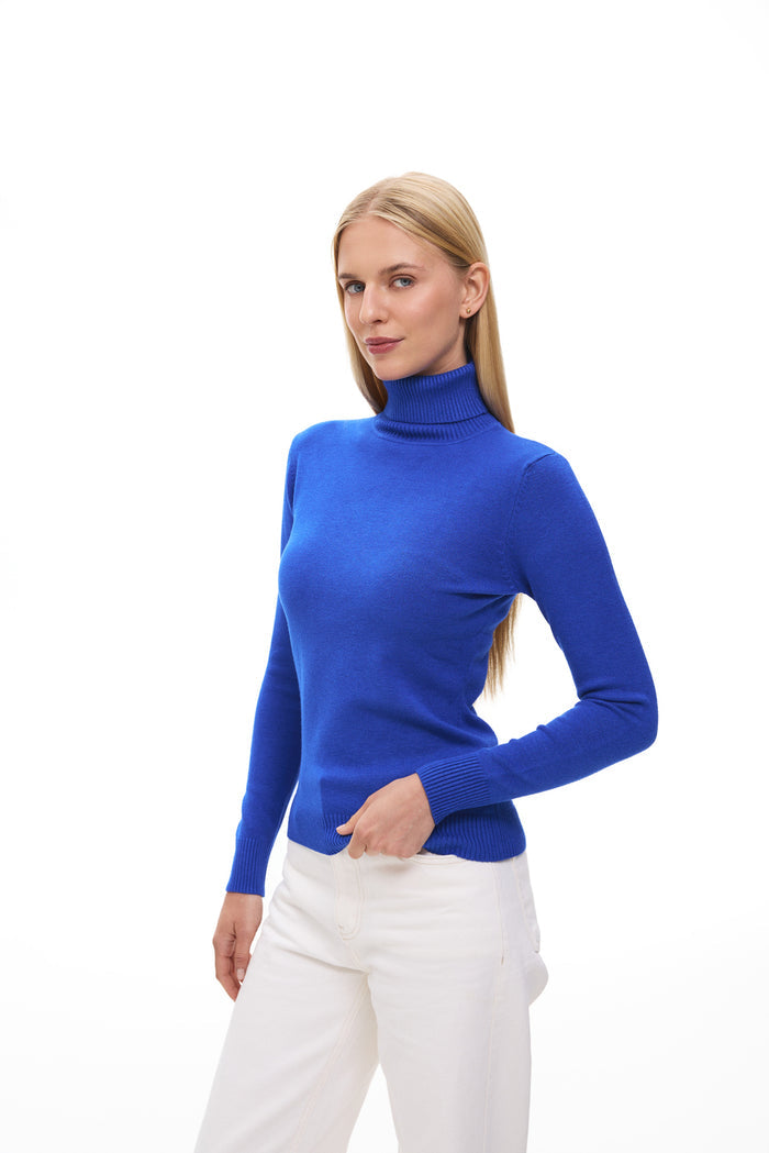 Electric Basic Knit Turtleneck Sweater
