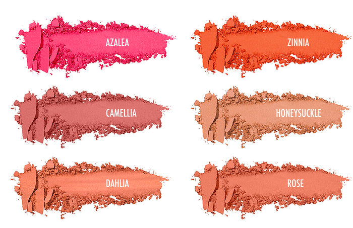 Floriography Blush