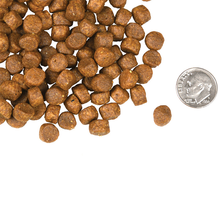 Four Star Grain Free Surf & Turf compared in size to a dime.