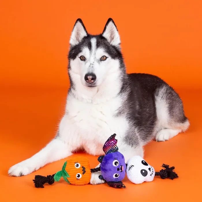 Halloween Literally Dead Cute Rope Tug Plush Squeak Dog Toy Set