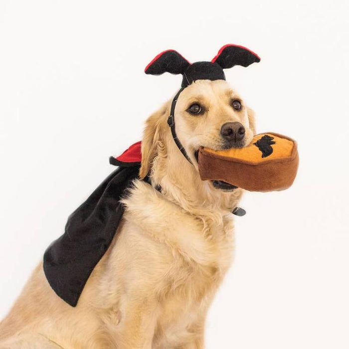 Halloween Pet Costume Kit - Dracula Cape, Bat Ears, & Coffin Plush Dog Toy
