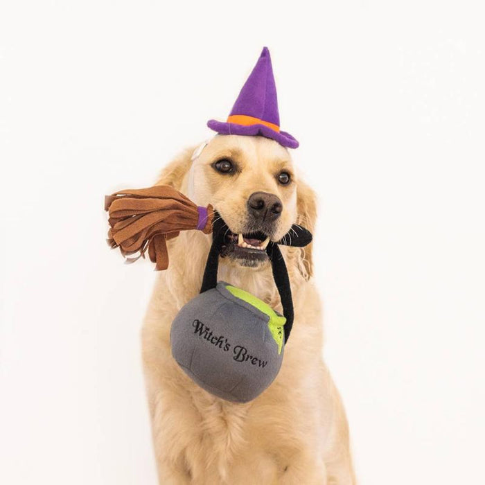 Halloween Witch Pet Costume Kit - Hat, Magical Broom & Plush Cauldron Dog Toy