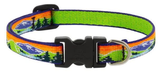 Lupine High Country Ct Breakaway Collar 8-12 inches