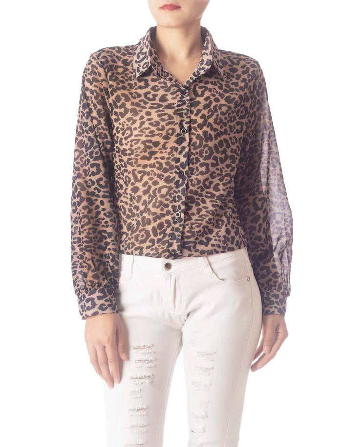 Leopard