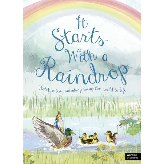 It Starts with A Raindrop
