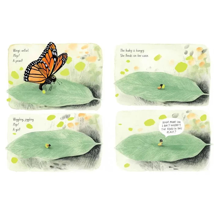 Monarch