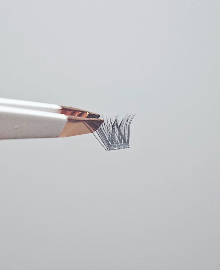 Natural Foxy LD Curl Cashmere Cluster Lashes – Paper Box 8–16mm