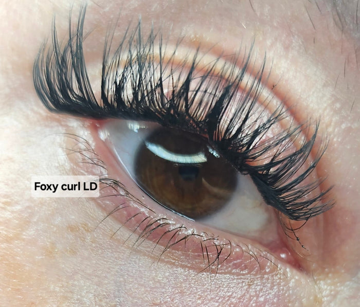 Natural Foxy LD Curl Cashmere Cluster Lashes – Paper Box 8–16mm