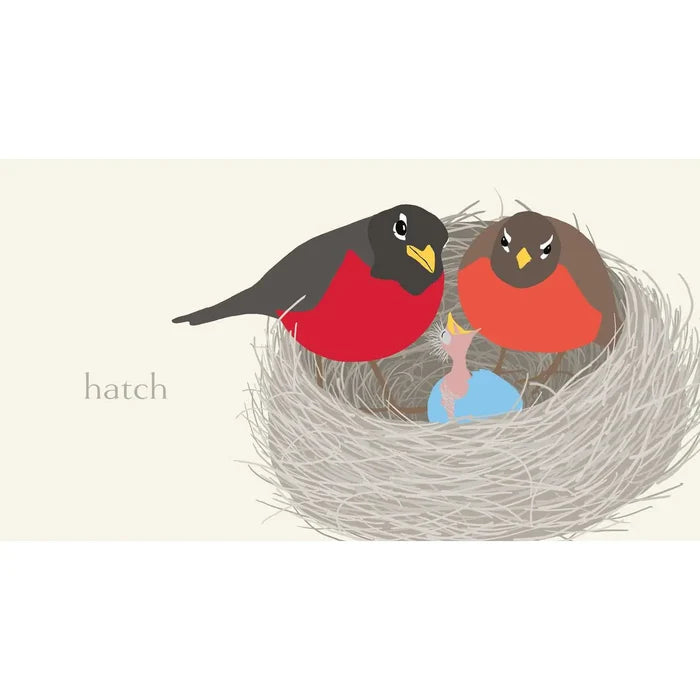 Nest