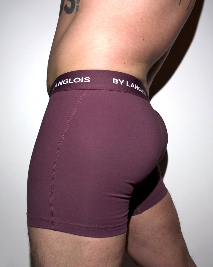 PERFECT FIT BOXER BRIEF IN SUMMER BERRIES