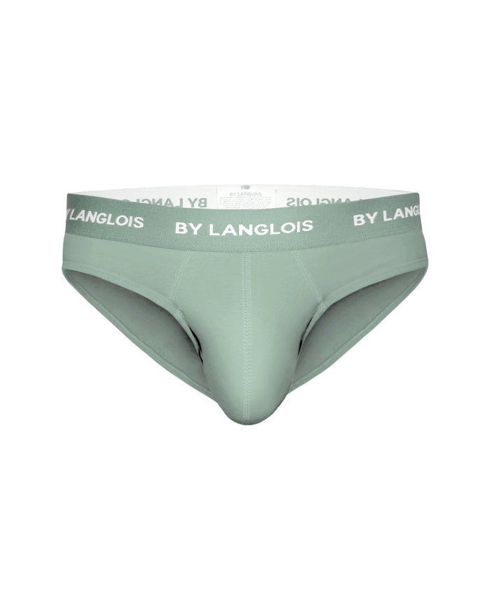 PERFECT FIT BRIEF IN RICH CLAY