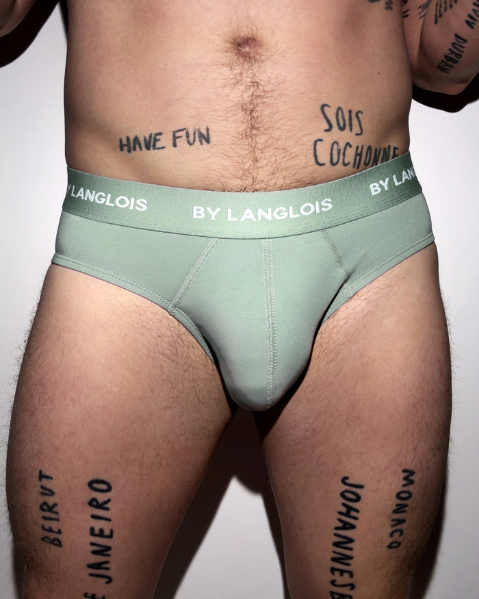 PERFECT FIT BRIEF IN RICH CLAY