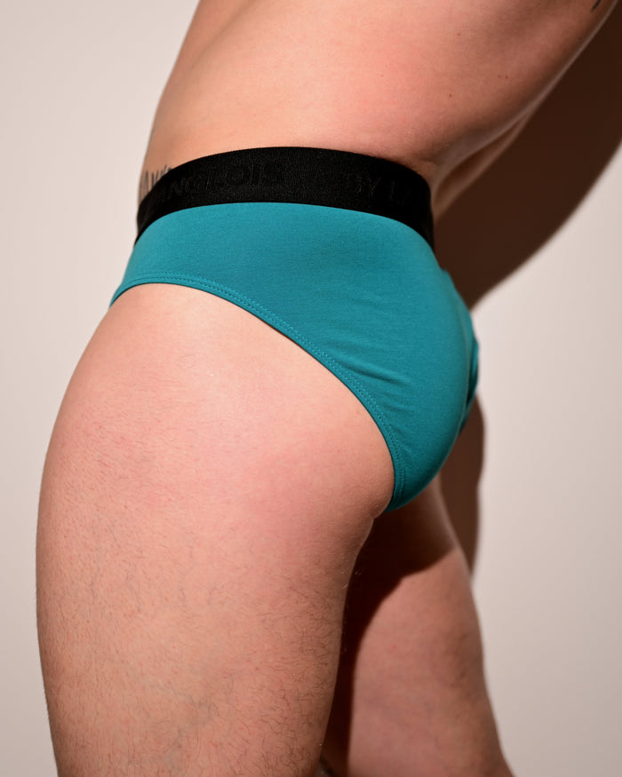 PERFECT FIT BRIEF IN SOUR CANDY