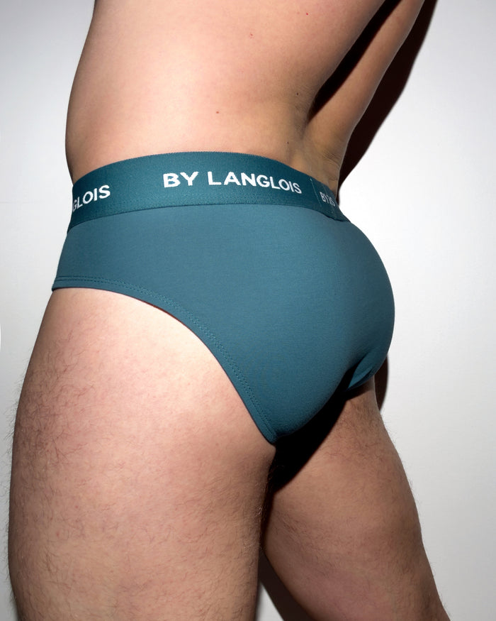 PERFECT FIT BRIEF IN SWEET BLUEBERRY