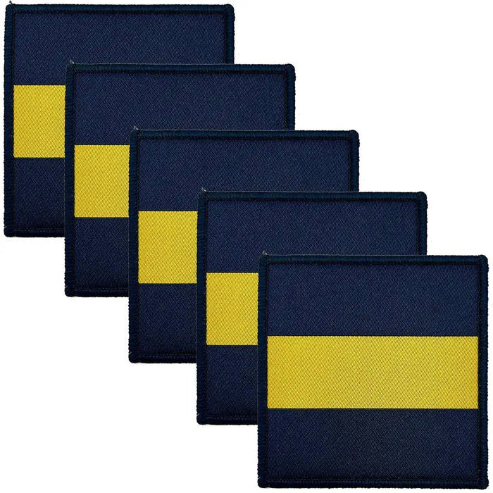 Pack of five Princess of Wales Royal Regiment PWRR DZ TRF tactical recognition flash patches, ideal for military uniform customization. 5 Pack from  John Bull Clothing