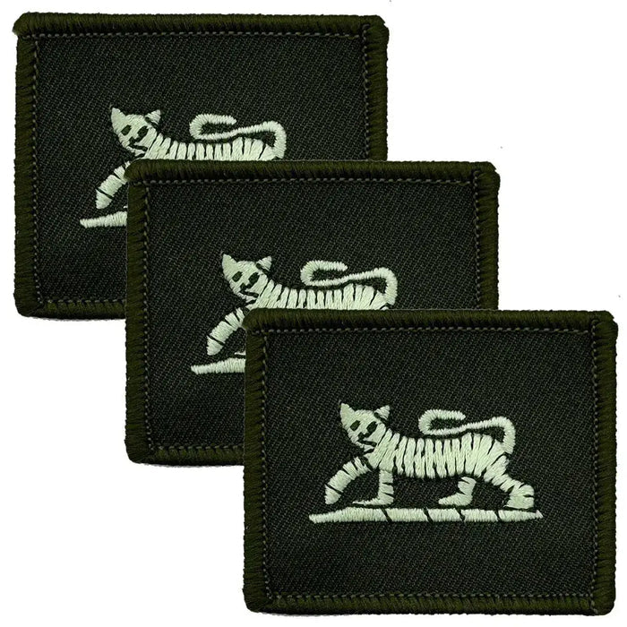 Set of 3 olive green Princess of Wales Royal Regiment TRF iron-on patches with white tiger emblem, military uniform badge by John Bulls. Green/Black from  John Bull Clothing