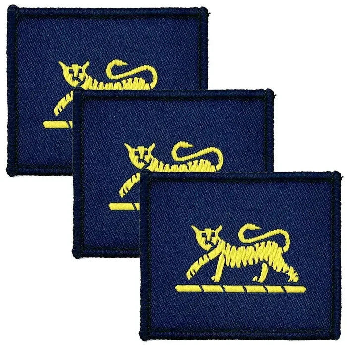 Set of 3 navy blue Princess of Wales Royal Regiment TRF patches with yellow tiger design, iron or sew-on military insignia for uniforms. Blue (Coloured) from  John Bull Clothing